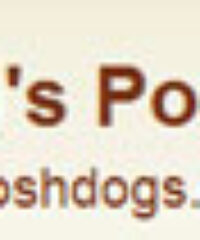 Lisa’s Posh Dogs