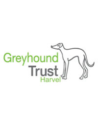 Greyhound Trust Harvel