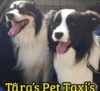 Tara’s Pet Taxis